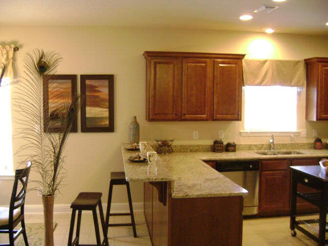 1250 Surrey Loop Foley, AL 36535 - Photo 3 of 9 Kitchen/bar