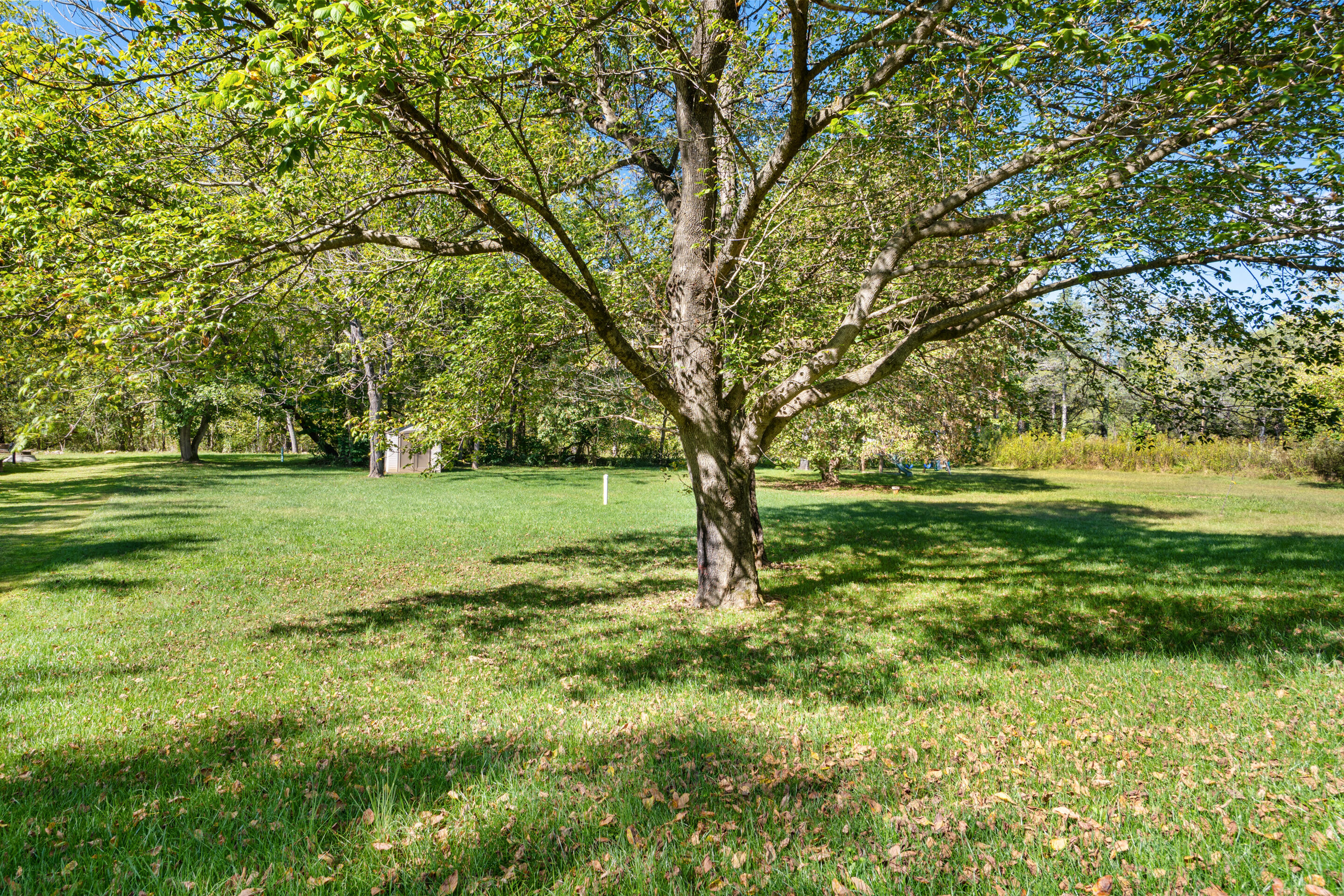 2918 Green Ridge Road Roanoke, VA 24019 - Photo 32 of 39 34-2918-Green-Ridge-Rd-Roanoke