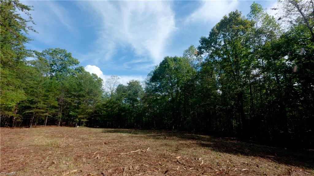 0 Dearmin Road Westfield, NC 27053 - Photo 16 of 22