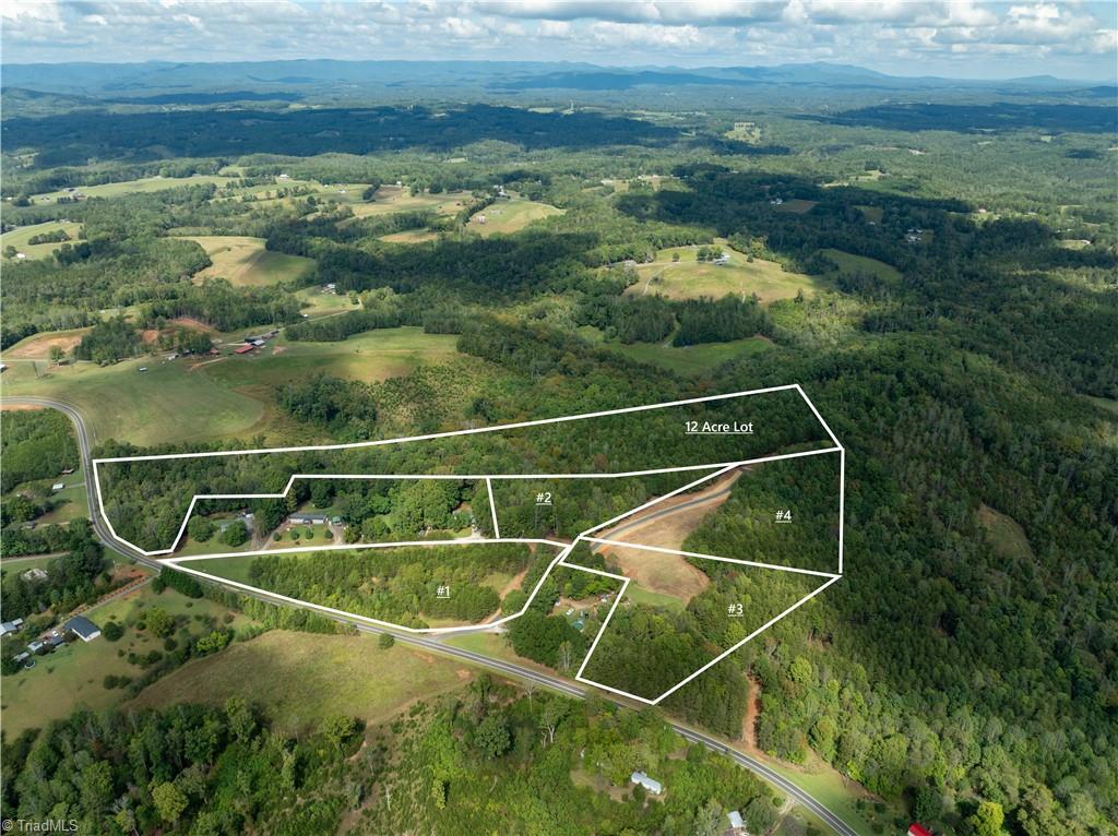 0 Dearmin Road Westfield, NC 27053 - Photo 3 of 22