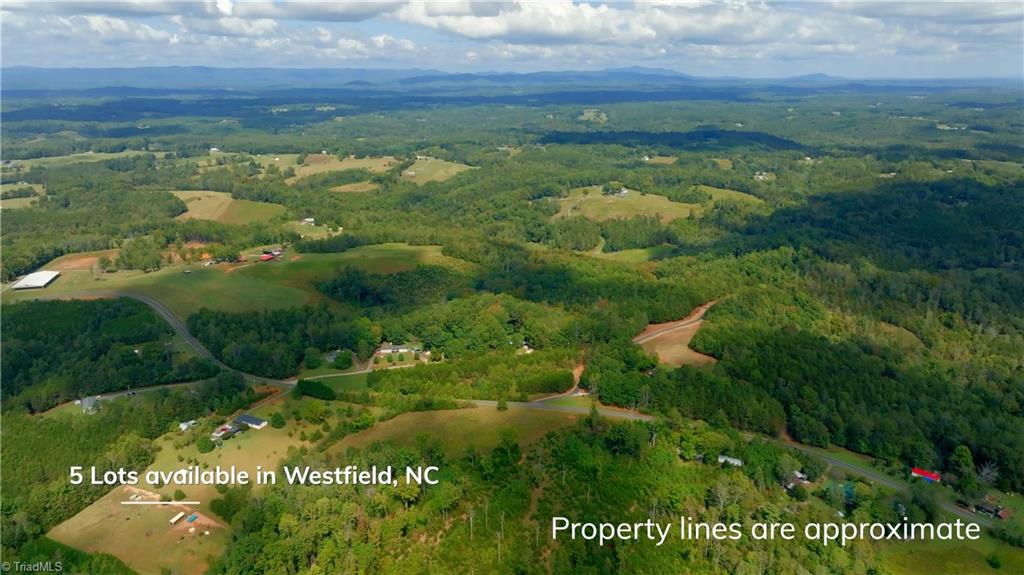 0 Dearmin Road Westfield, NC 27053 - Photo 5 of 22