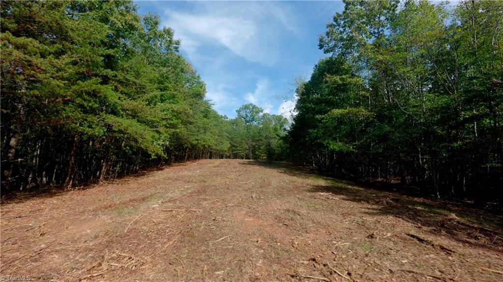 0 Dearmin Road Westfield, NC 27053 - Photo 6 of 22