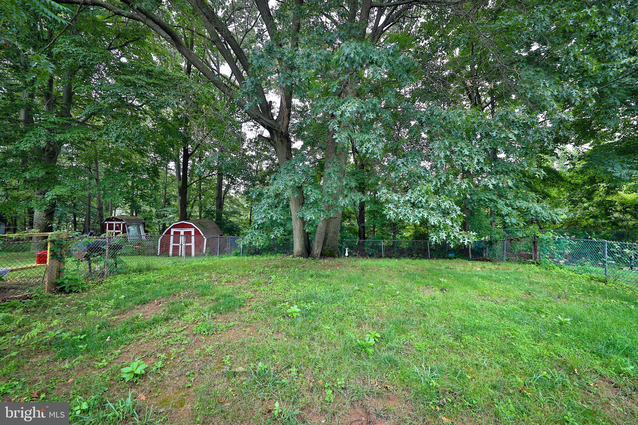11944 Dumont Road Philadelphia, PA 19116 - Photo 3 of 22 Backyard