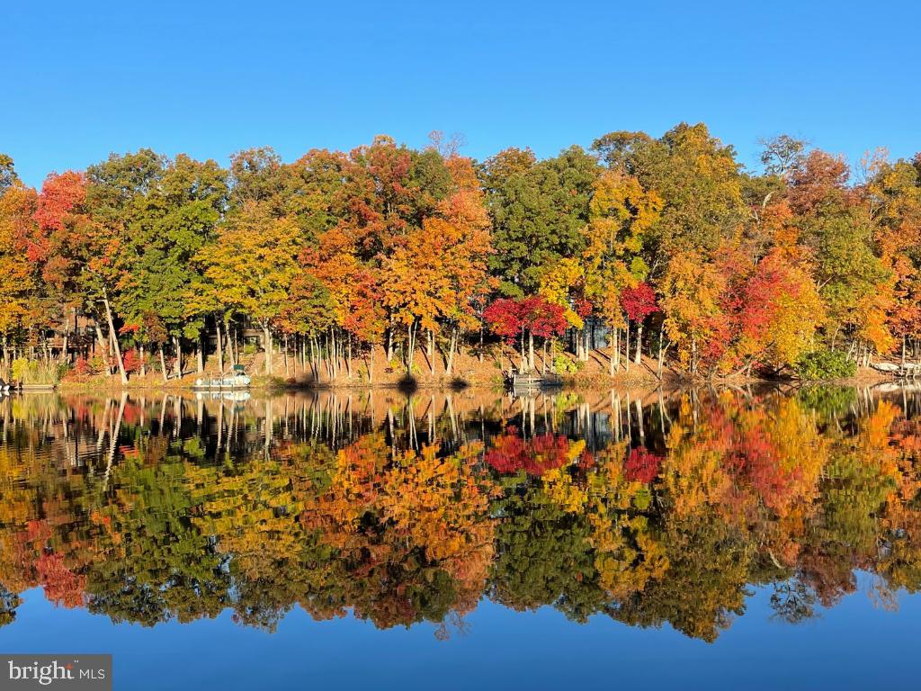 11218 Harbor Court Reston, VA 20191 - Photo 33 of 39 a view of a bunch of flowers