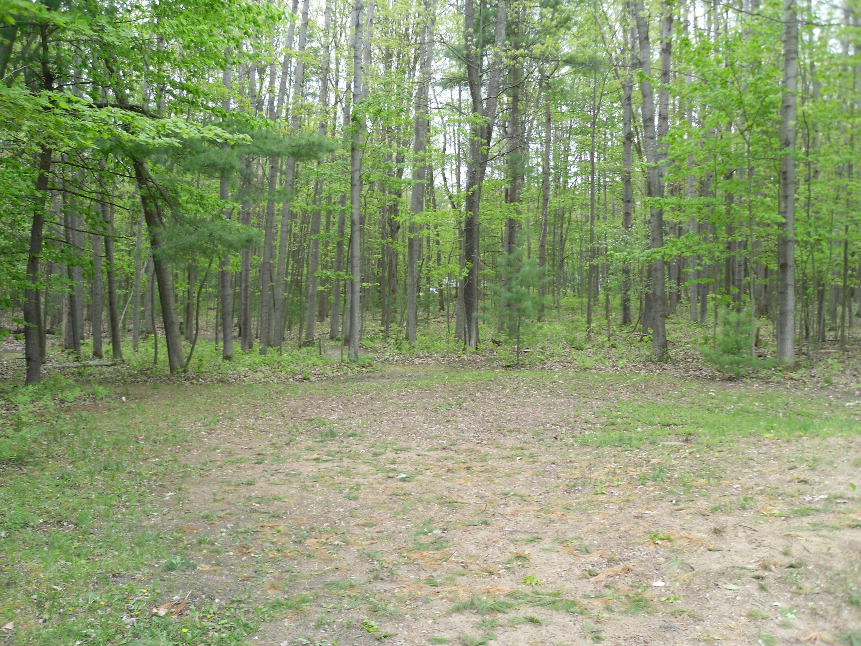 6515 Maple Road Ludington, MI 49431 - Photo 12 of 13 SAM_1015
