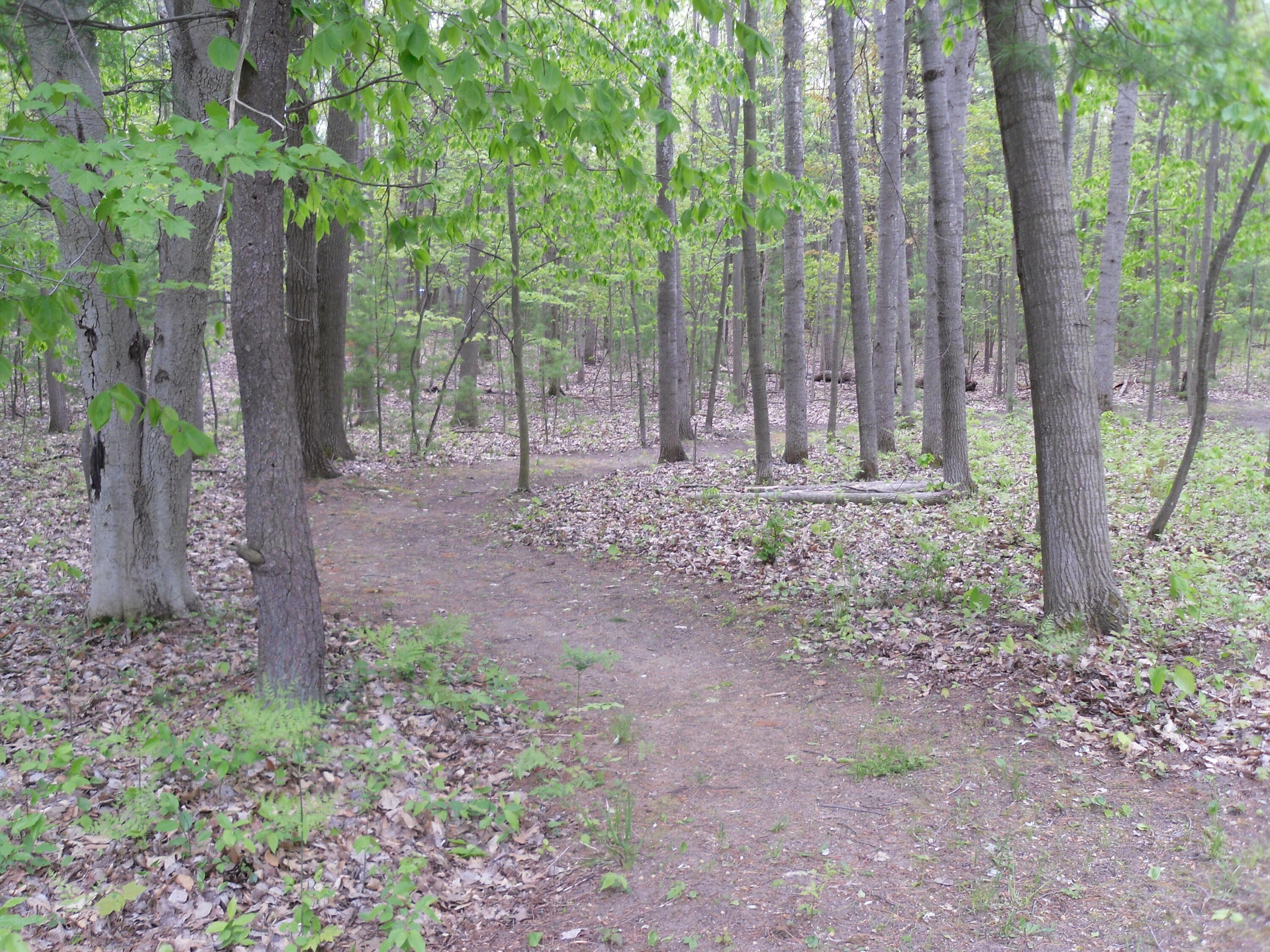 6515 Maple Road Ludington, MI 49431 - Photo 7 of 13 SAM_1016