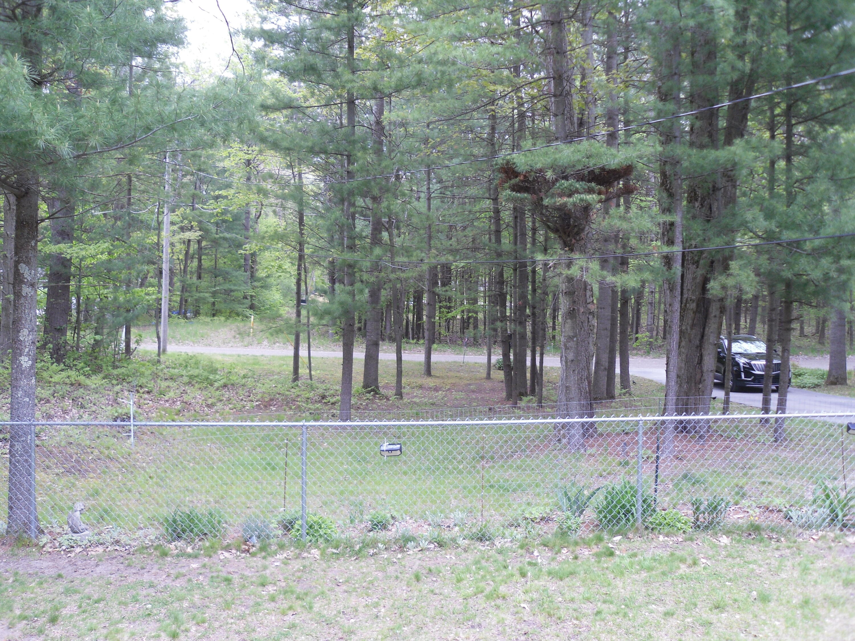6515 Maple Road Ludington, MI 49431 - Photo 9 of 13 SAM_1023