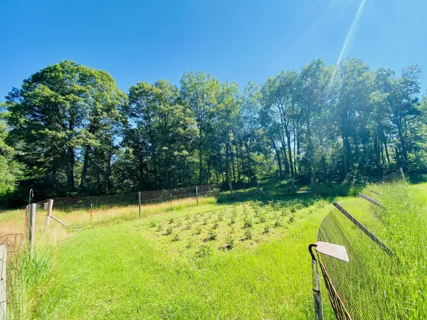 $349,900 | W6524 Nancy Lake Road, Minong, WI 54859