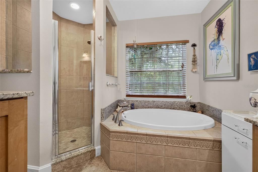 322 Roebling Road South Belleair, FL 33756 - Photo 30 of 46