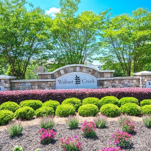 a view of a bunch of flowers