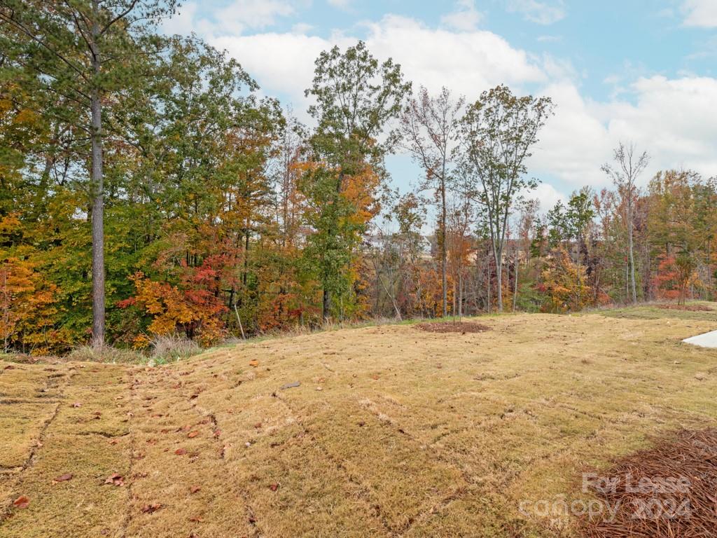 6531 Gopher Road Lancaster, SC 29720 - Photo 21 of 27 a view of empty space and tree