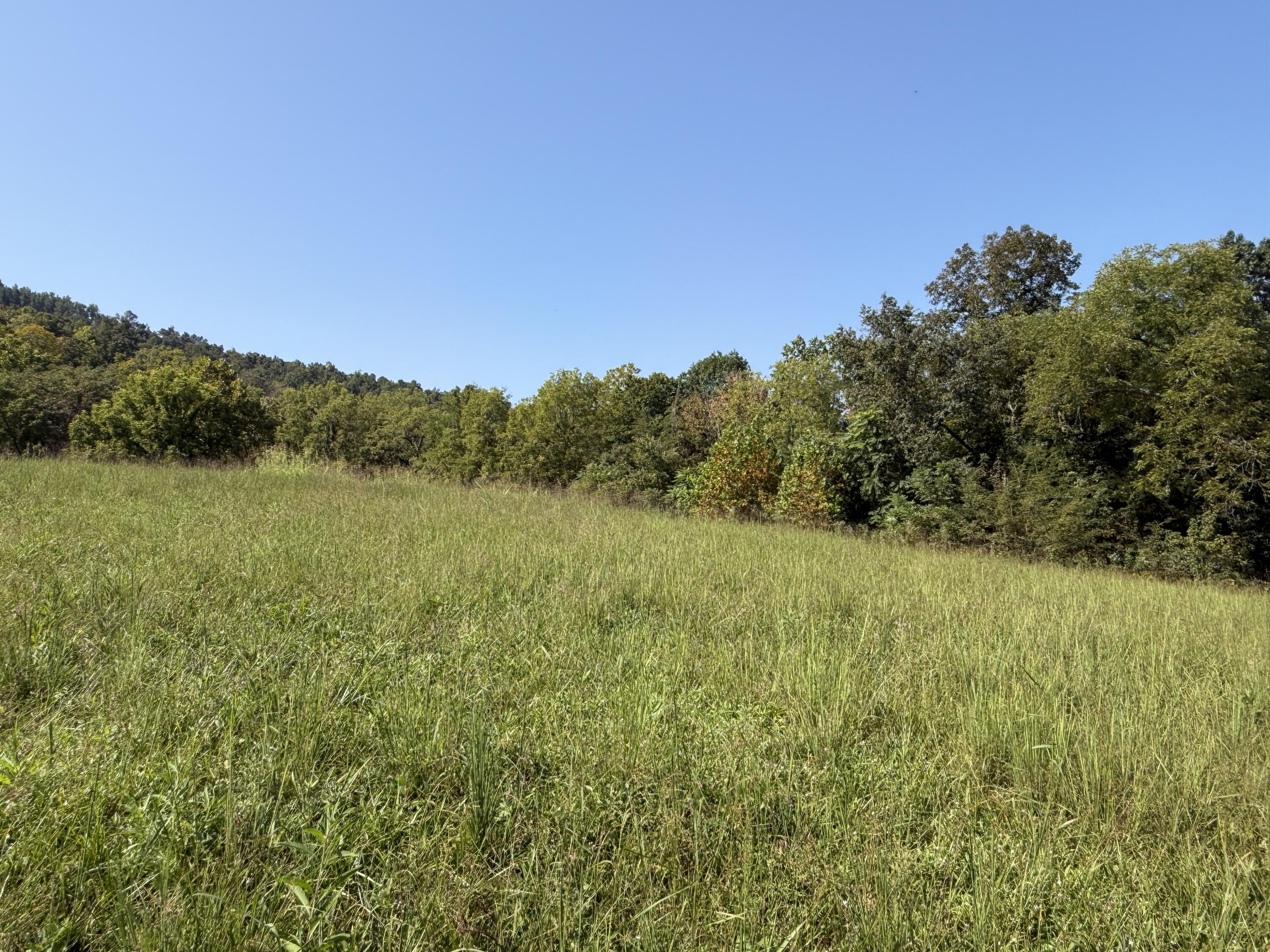 0 Phillips Hollow Road Monticello, KY 42633 - Photo 17 of 21 IMG_0614