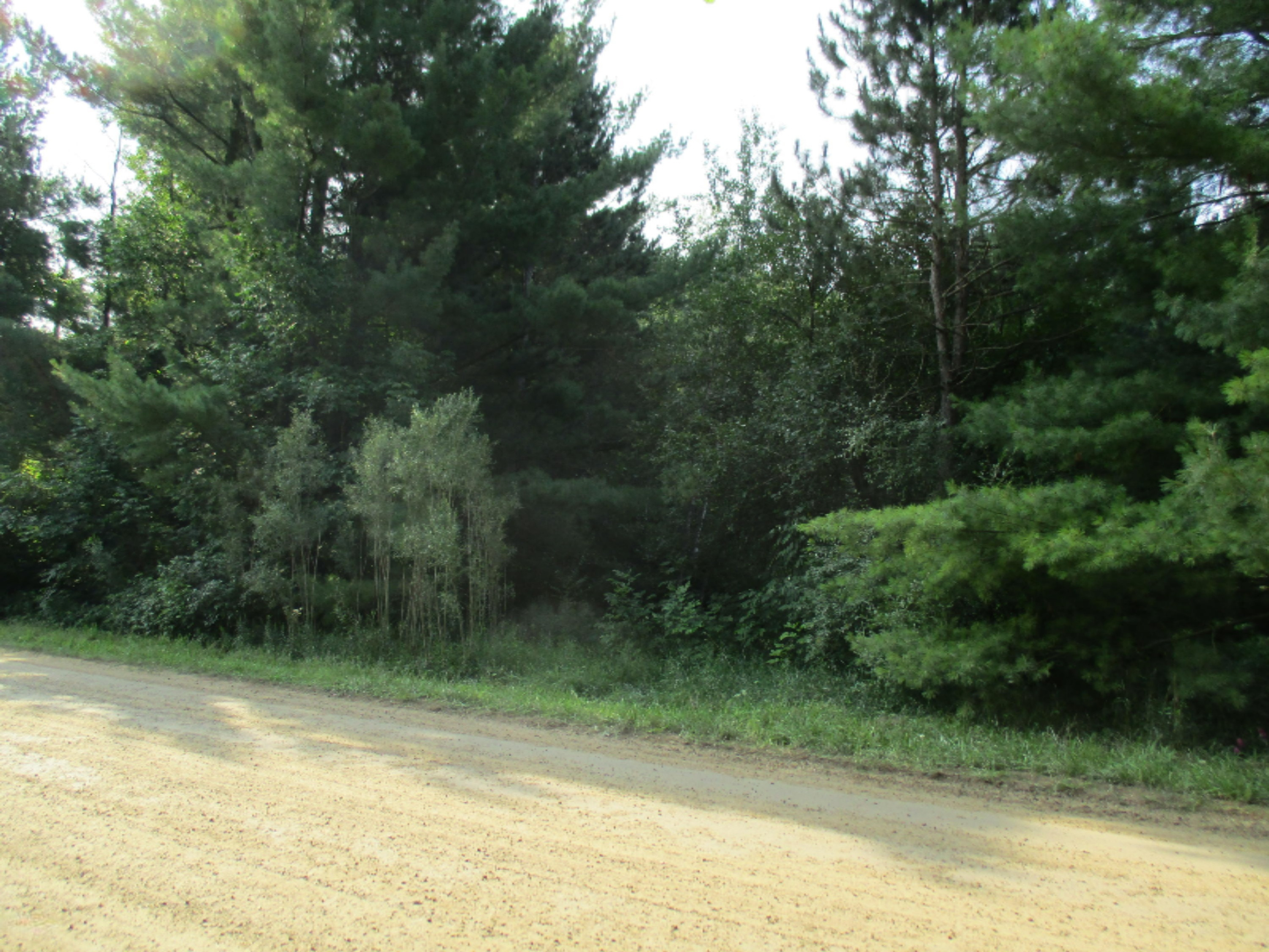 7730 Schmied Road Vestaburg, MI 48891 - Photo 1 of 4 IMG_0836