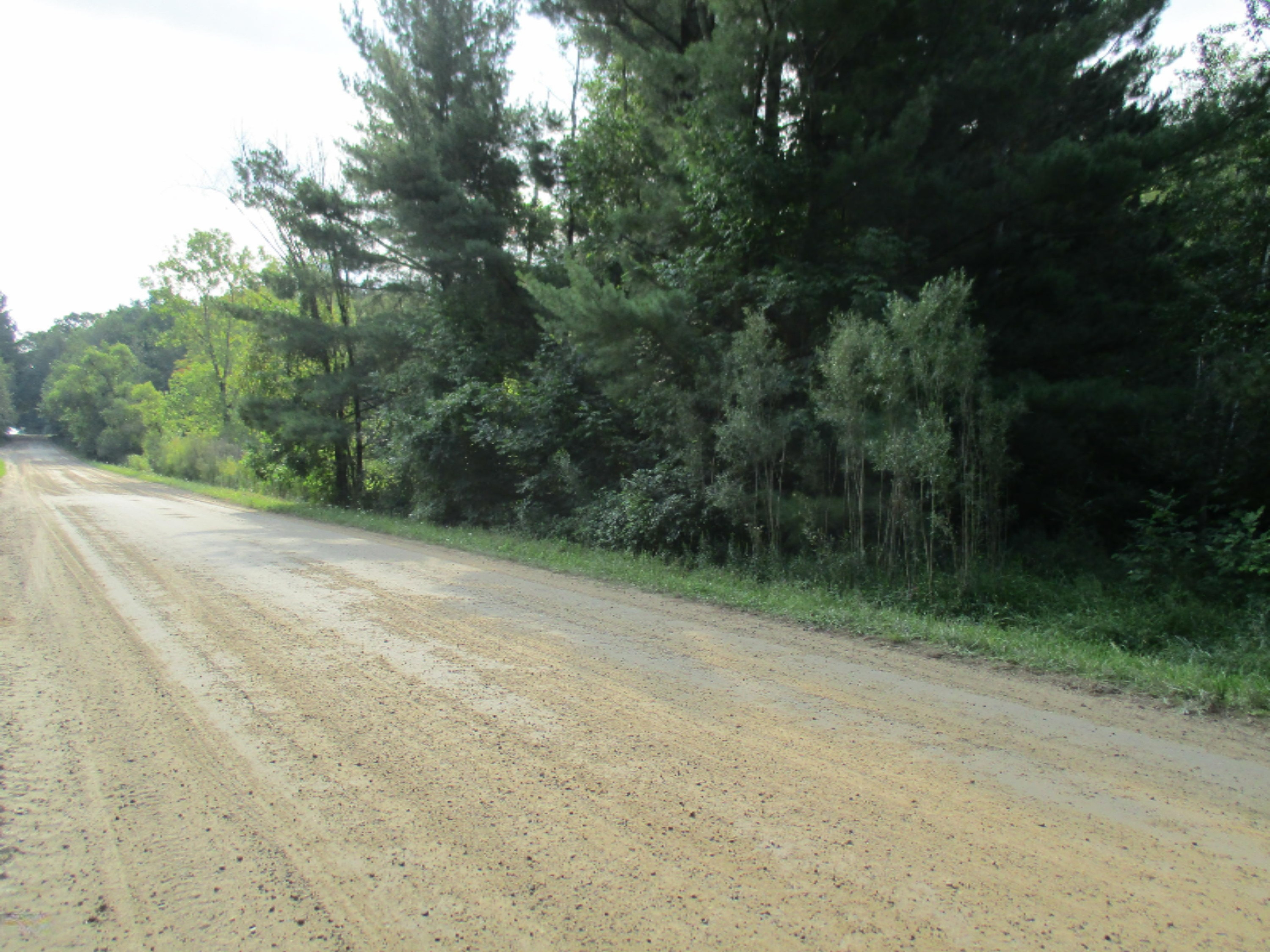 7730 Schmied Road Vestaburg, MI 48891 - Photo 3 of 4 IMG_0837