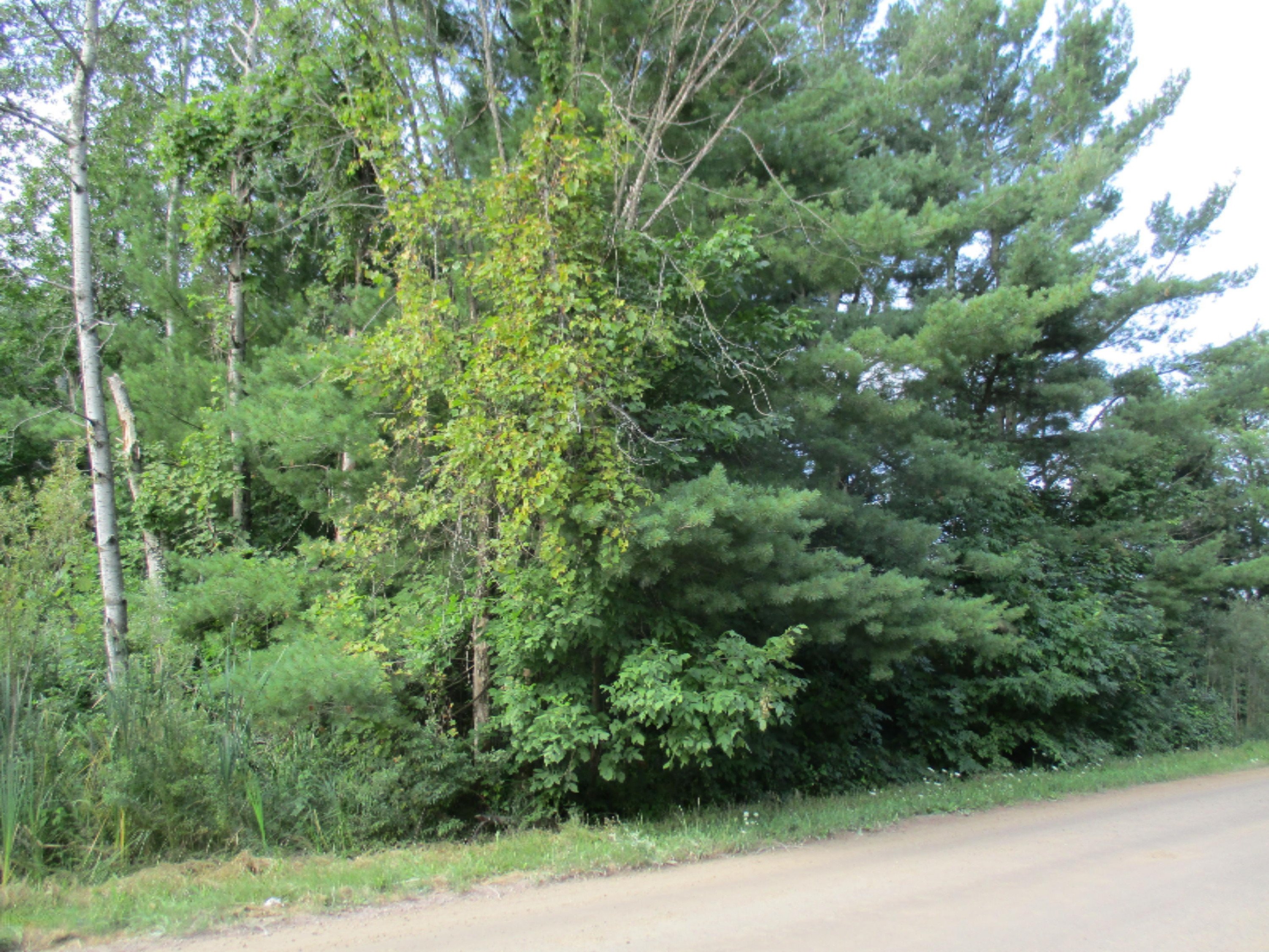 7730 Schmied Road Vestaburg, MI 48891 - Photo 4 of 4 IMG_0839