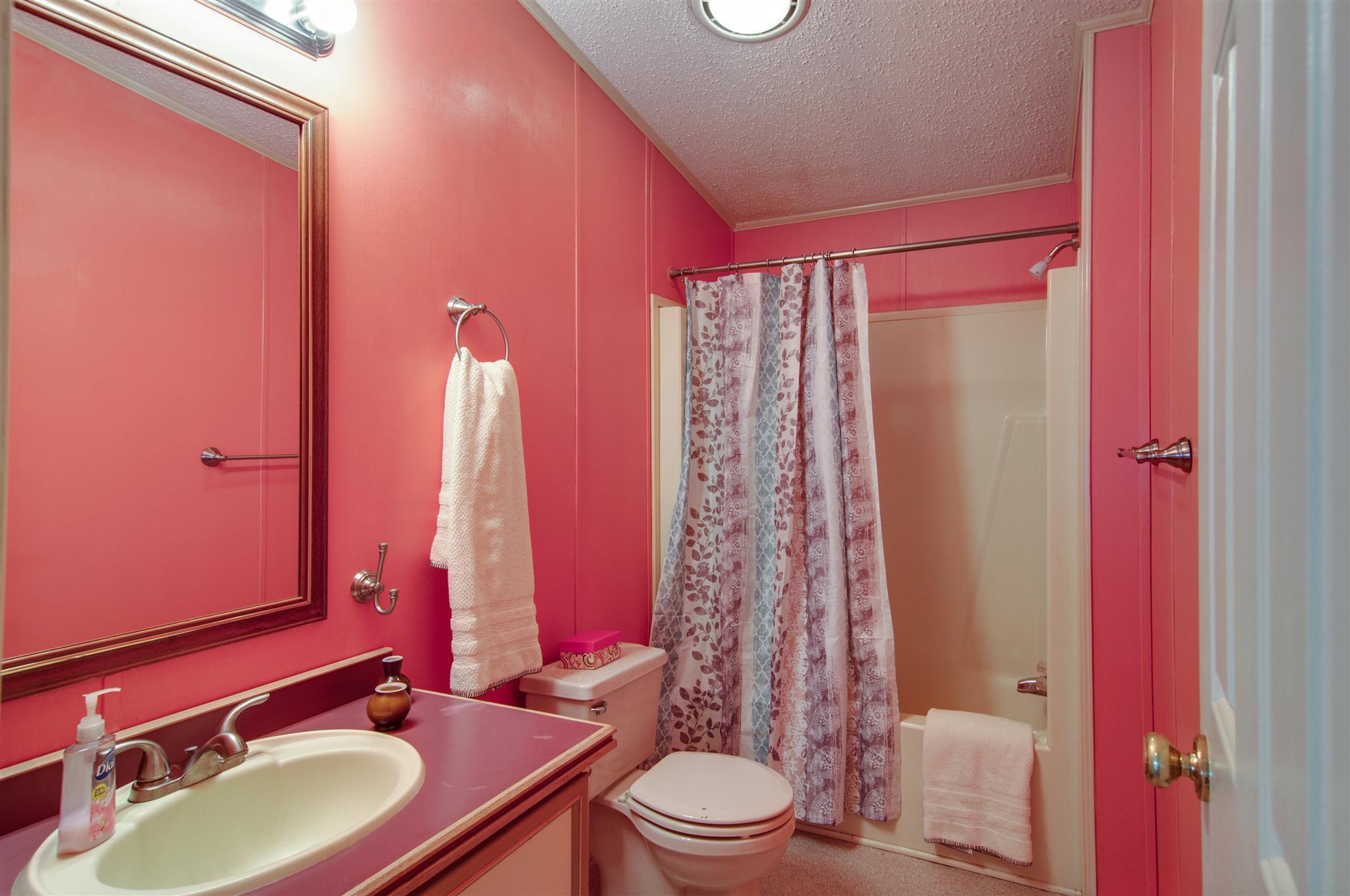 1379 Turkey Creek Road Dickson, TN 37055 - Photo 14 of 20 Hall bathroom