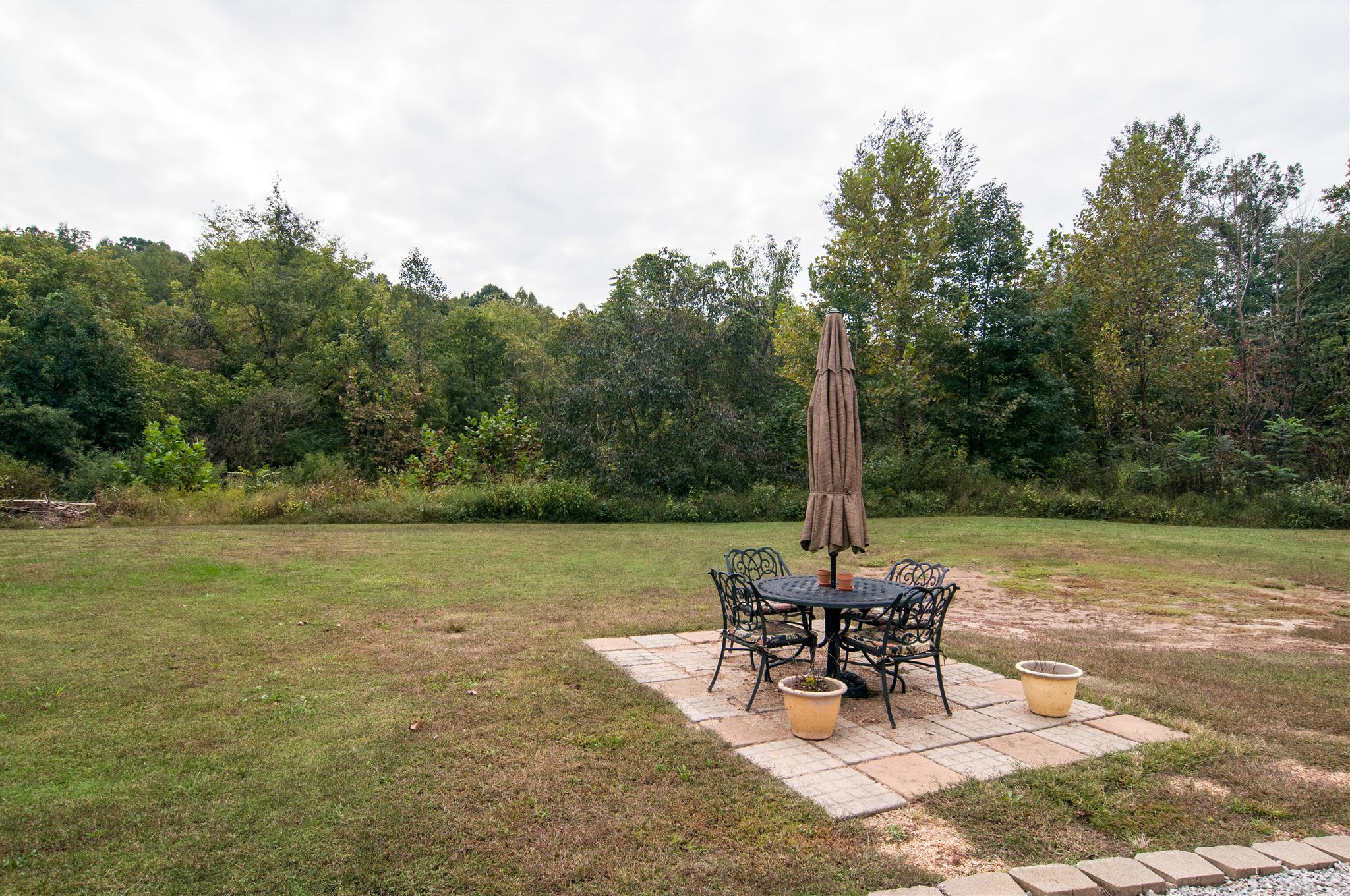 1379 Turkey Creek Road Dickson, TN 37055 - Photo 17 of 20 Private back yard