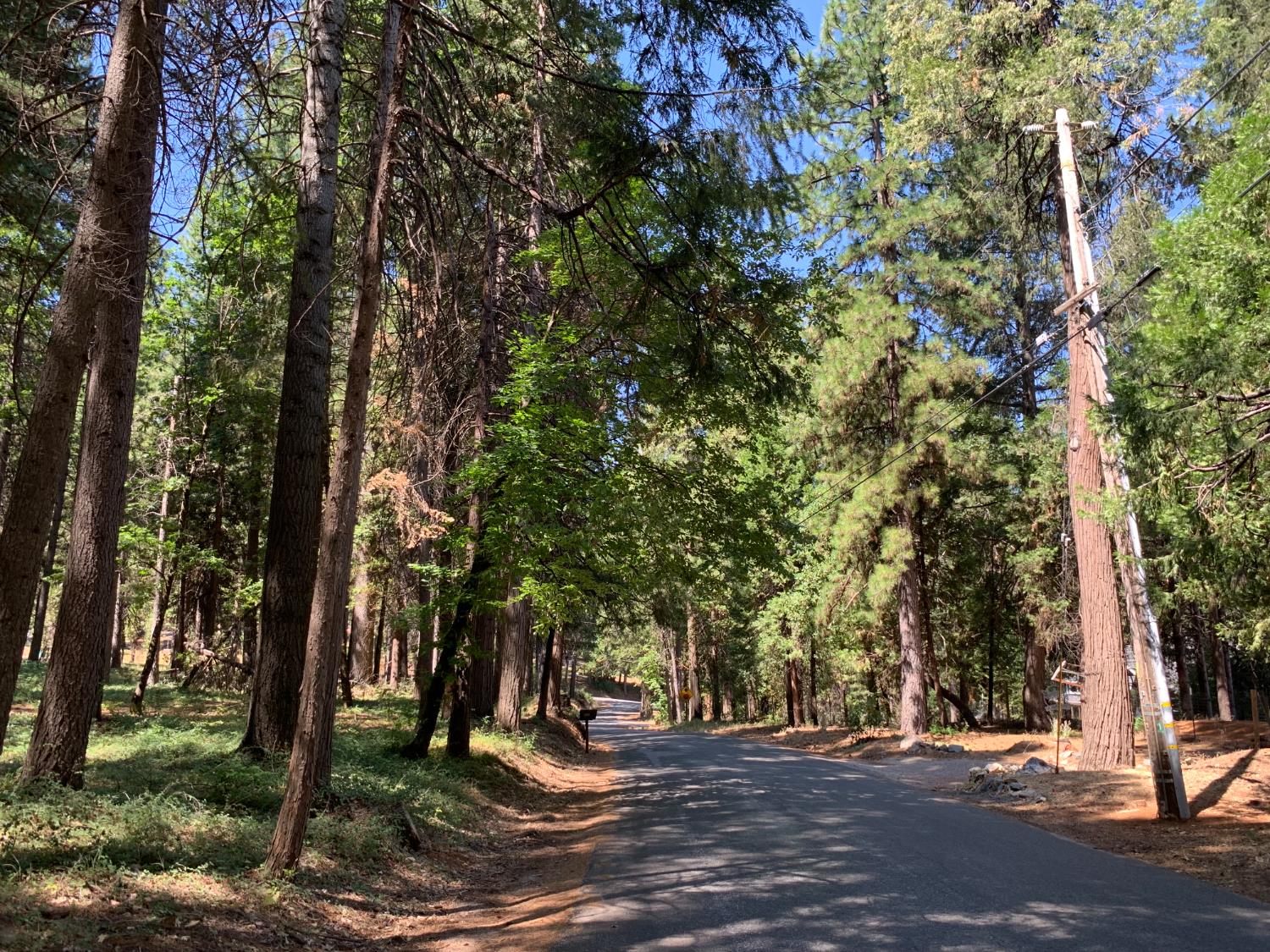 12043 Pasquale Road Nevada City, CA 95959 - Photo 18 of 27