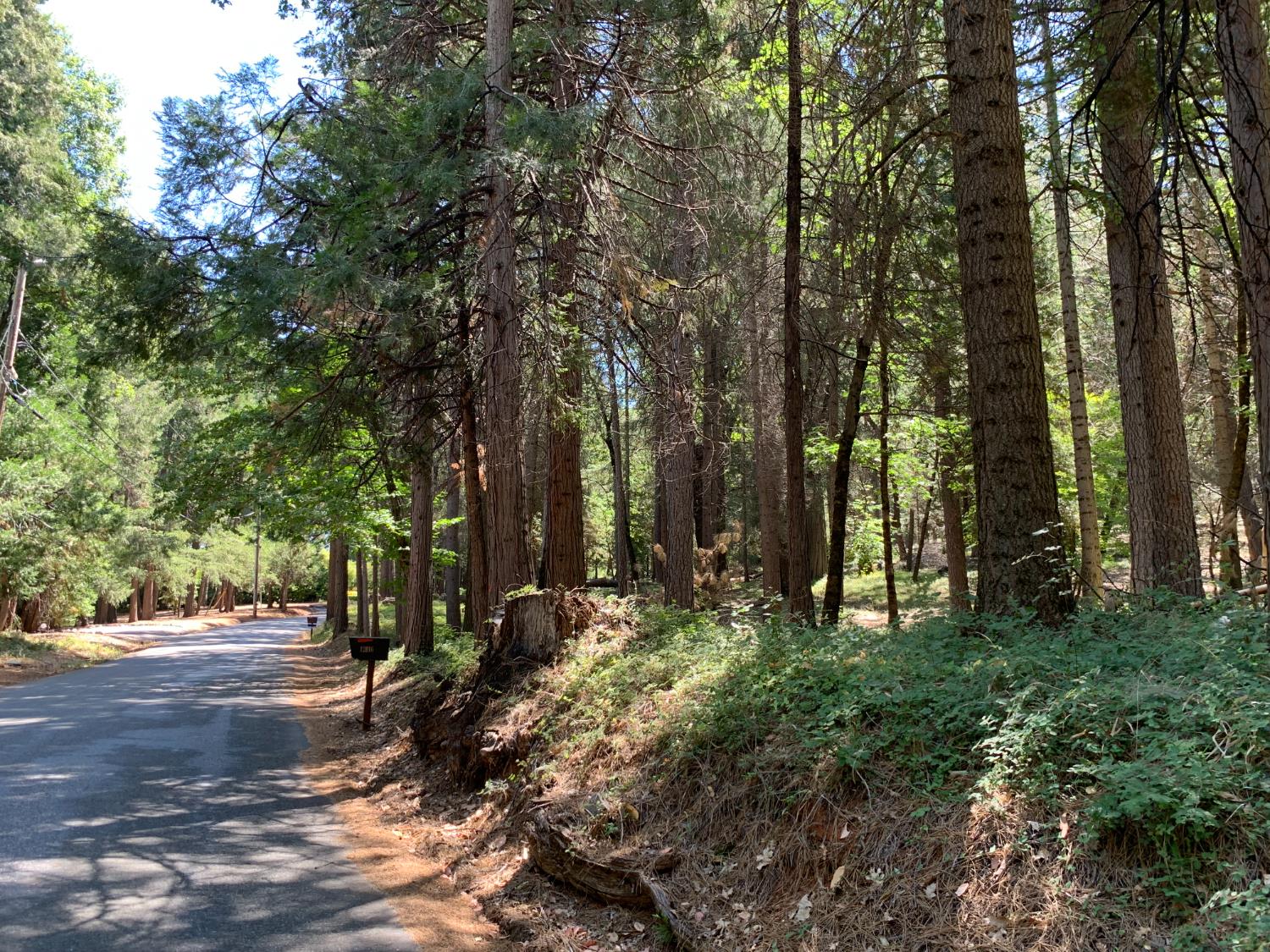 12043 Pasquale Road Nevada City, CA 95959 - Photo 21 of 27