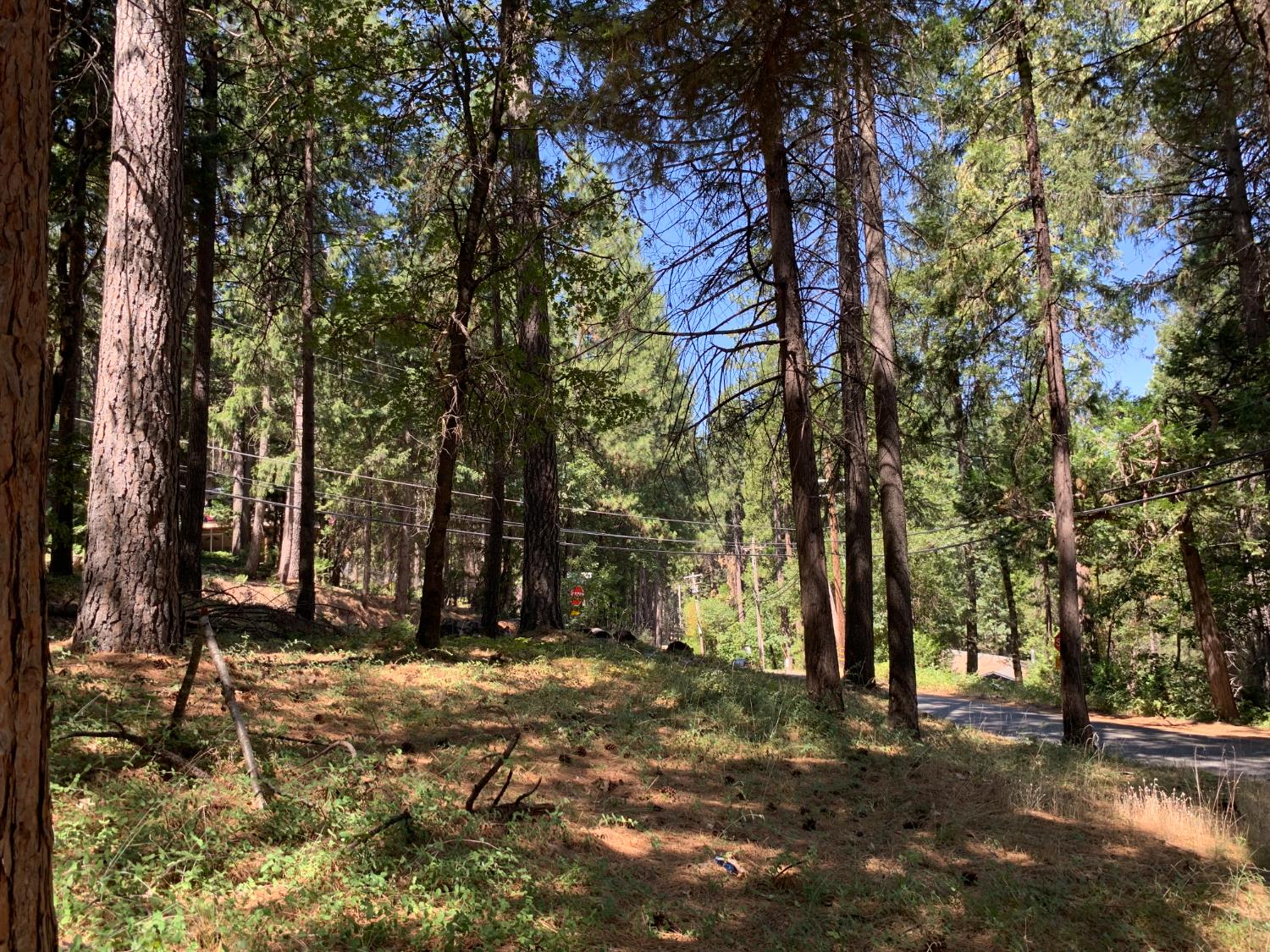 12043 Pasquale Road Nevada City, CA 95959 - Photo 24 of 27