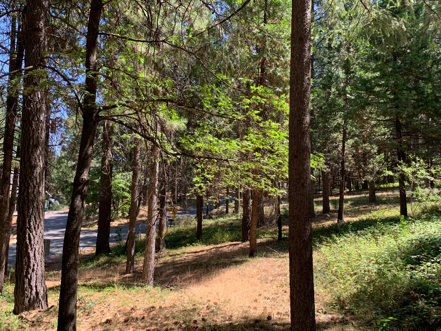 12043 Pasquale Road Nevada City, CA 95959 - Photo 26 of 27