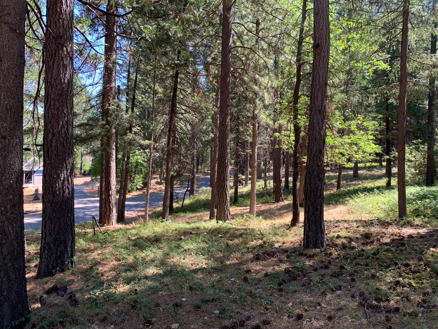 12043 Pasquale Road Nevada City, CA 95959 - Photo 4 of 27