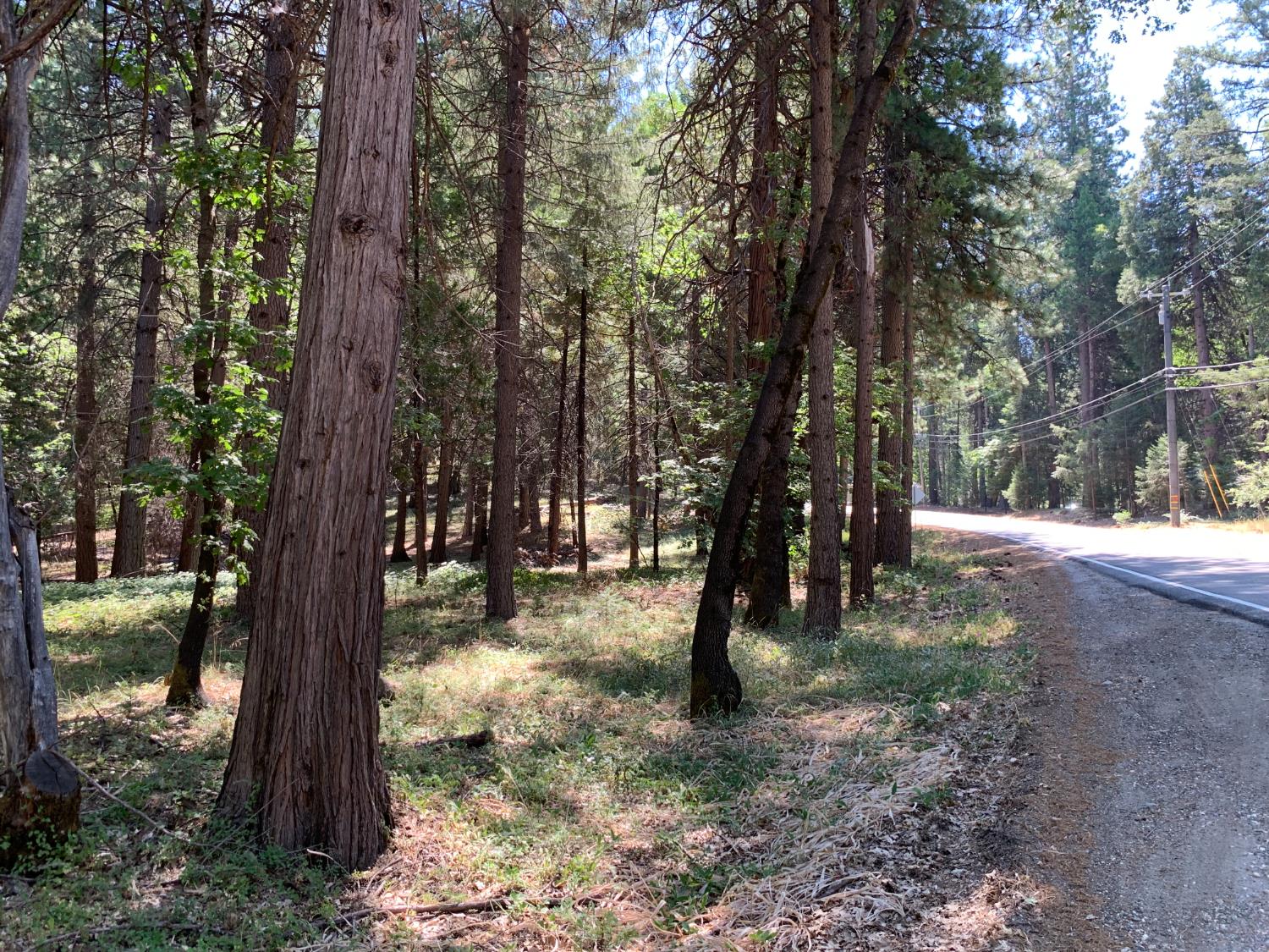 12043 Pasquale Road Nevada City, CA 95959 - Photo 8 of 27