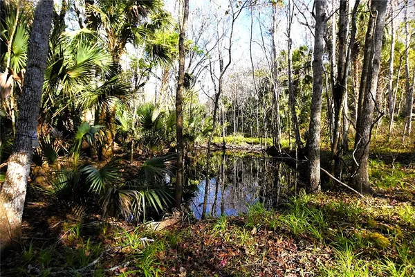 a view of outdoor space