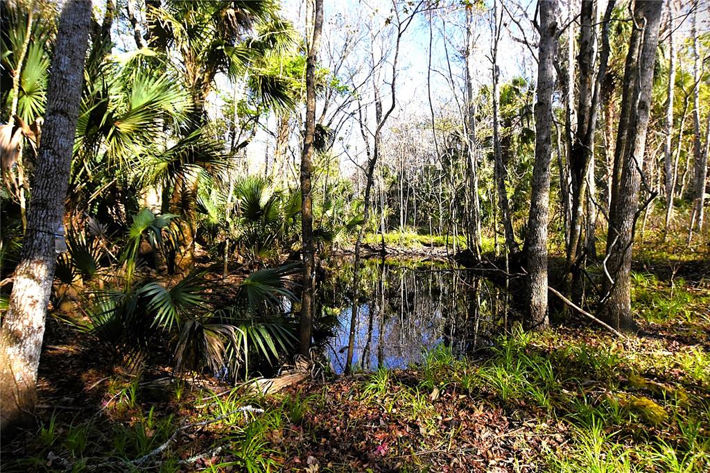 a view of outdoor space