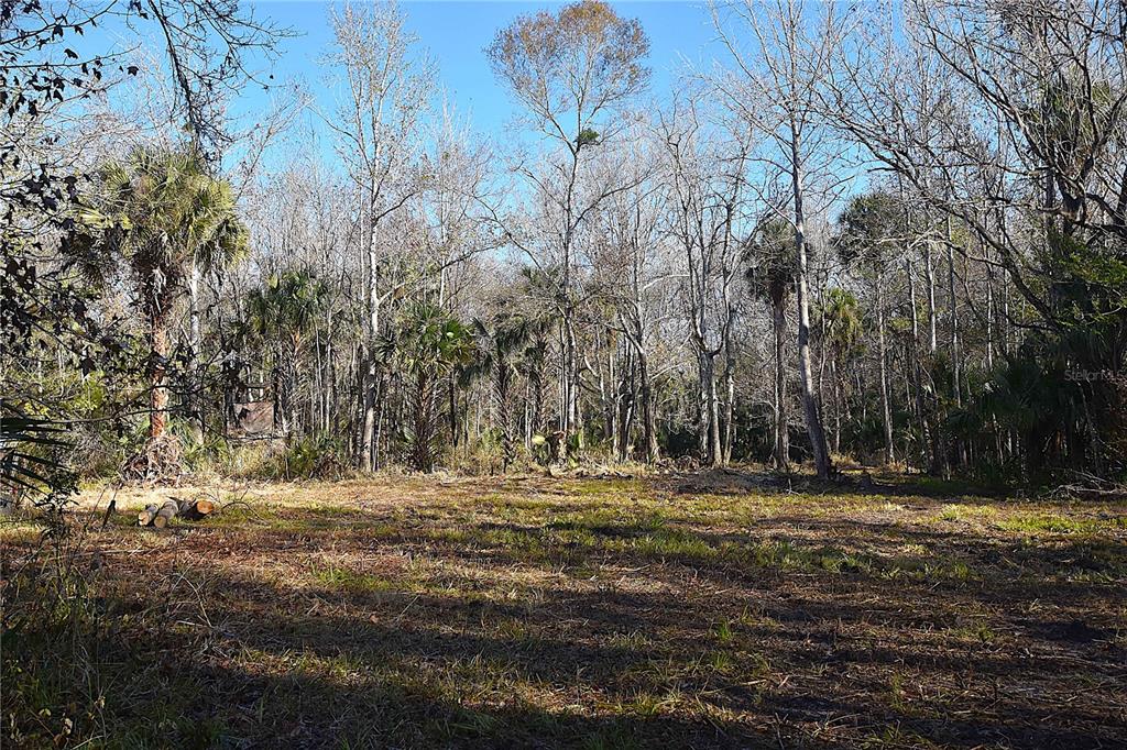 4721 Lingo Grove Road Edgewater, FL 32141 - Photo 3 of 10