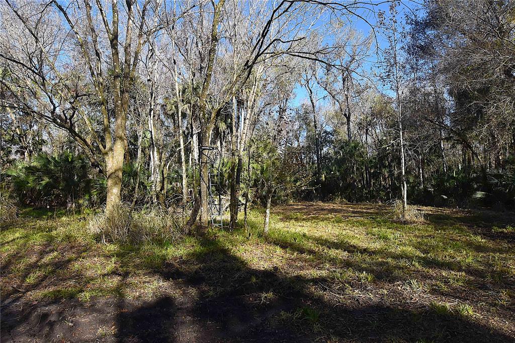 4721 Lingo Grove Road Edgewater, FL 32141 - Photo 5 of 10