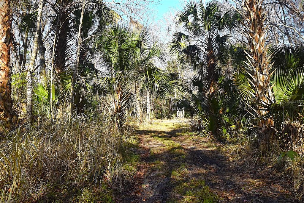 4721 Lingo Grove Road Edgewater, FL 32141 - Photo 6 of 10