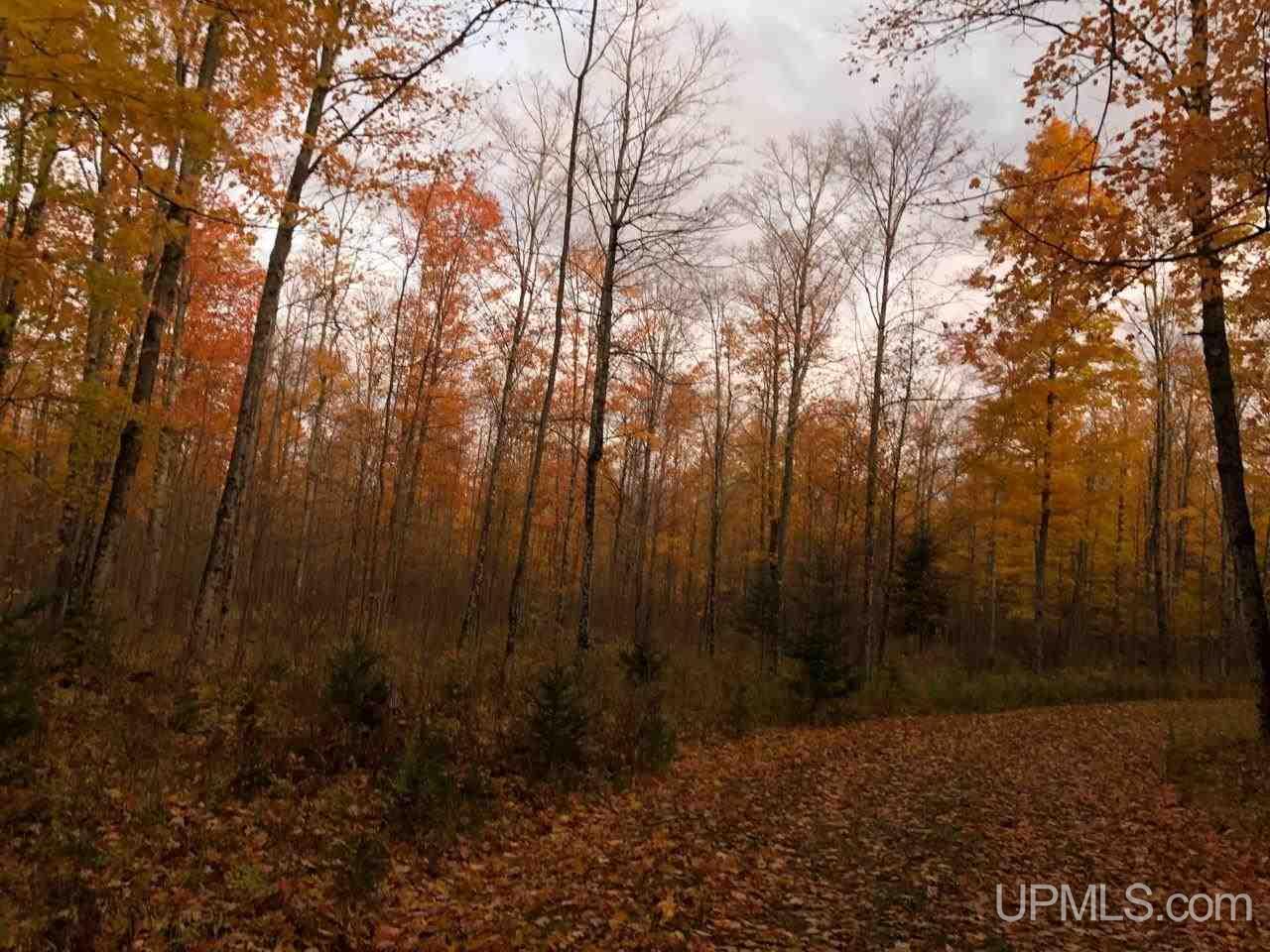 13281 Church P.1 Road Rapid River, MI 49878 - Photo 13 of 23