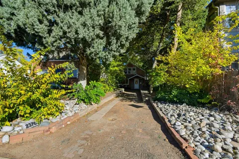 a bench is sitting in the middle of a garden