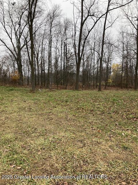 3298 Balcom Road Ovid, MI 48866 - Photo 3 of 5 Balcom Rd Trees