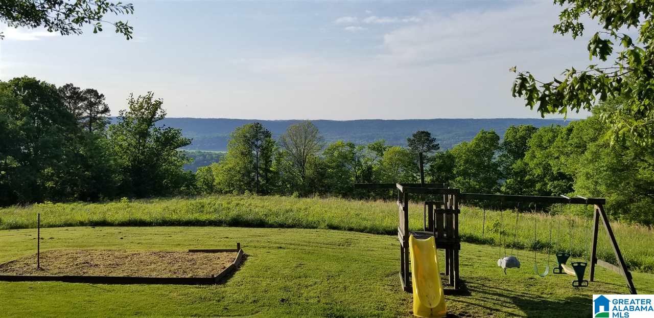 5381 Chandler Mountain Road Steele, AL 35987 - Photo 2 of 27