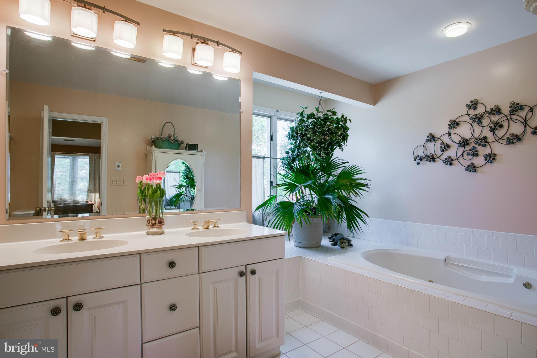 7 Ruby Field Court Baltimore, MD 21209 - Photo 6 of 30 Bath (Master)