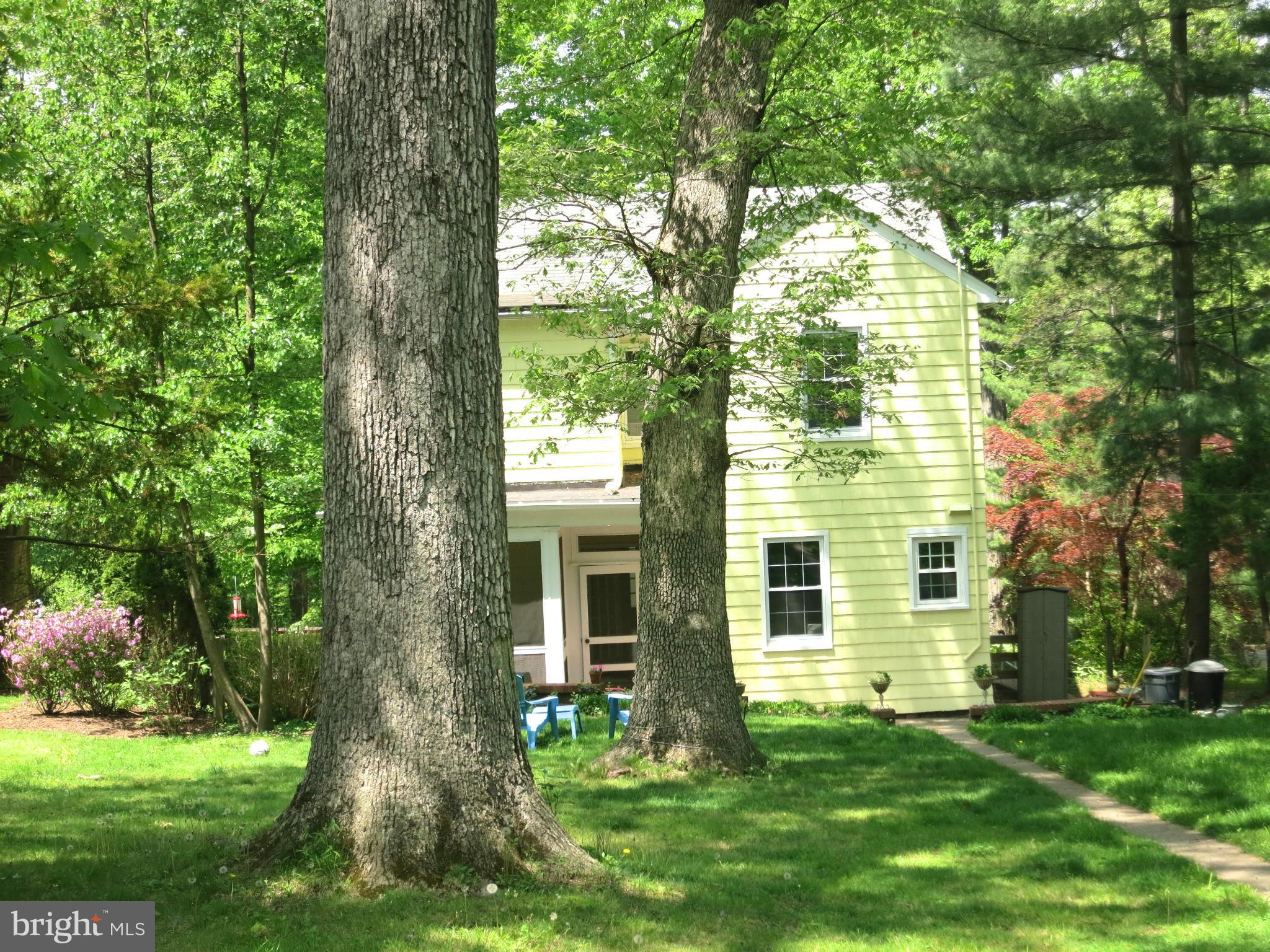 4653 Briarclift Road Baltimore, MD 21229 - Photo 24 of 30 Treed Backyard