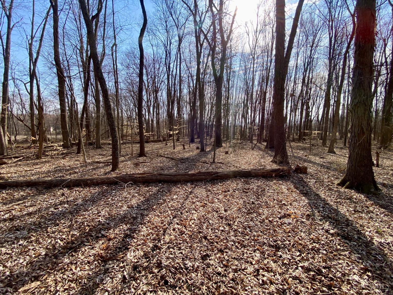 Ac Ac Goodwin Schoolhouse Road Bethel, OH 45106 - Photo 5 of 15