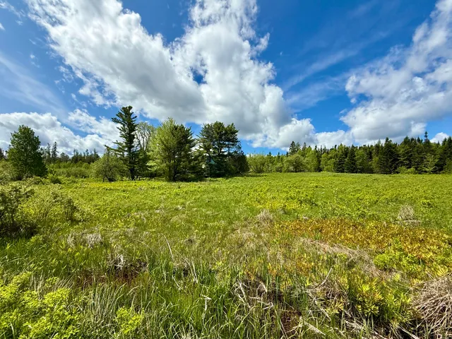 $215,000 | 149 Old Eastport Road, Perry, ME 04667