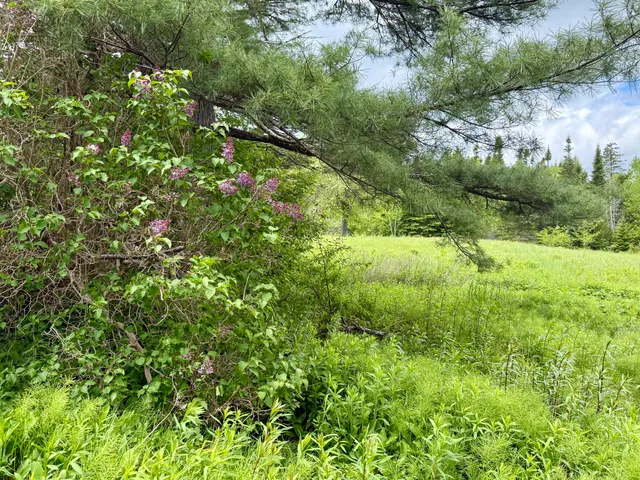 $215,000 | 149 Old Eastport Road, Perry, ME 04667