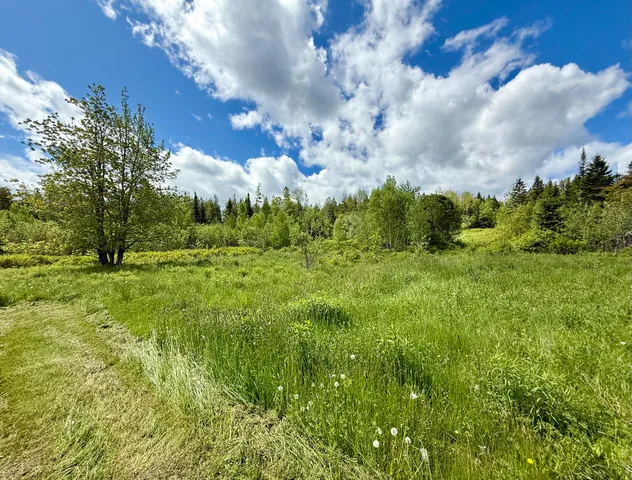 $215,000 | 149 Old Eastport Road, Perry, ME 04667