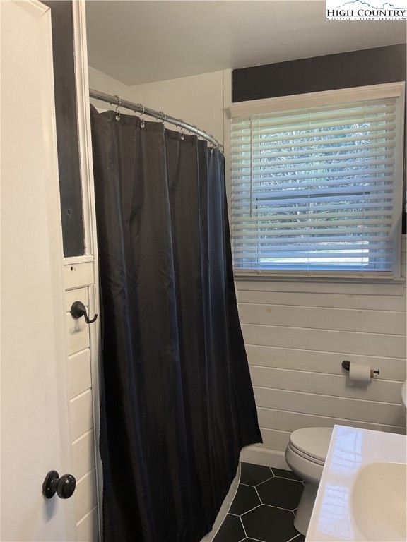 4560 Highway 18 Sparta, NC 28675 - Photo 32 of 43 a bathroom with a toilet and a shower