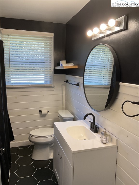 4560 Highway 18 Sparta, NC 28675 - Photo 36 of 43 a bathroom with a toilet a sink and a mirror