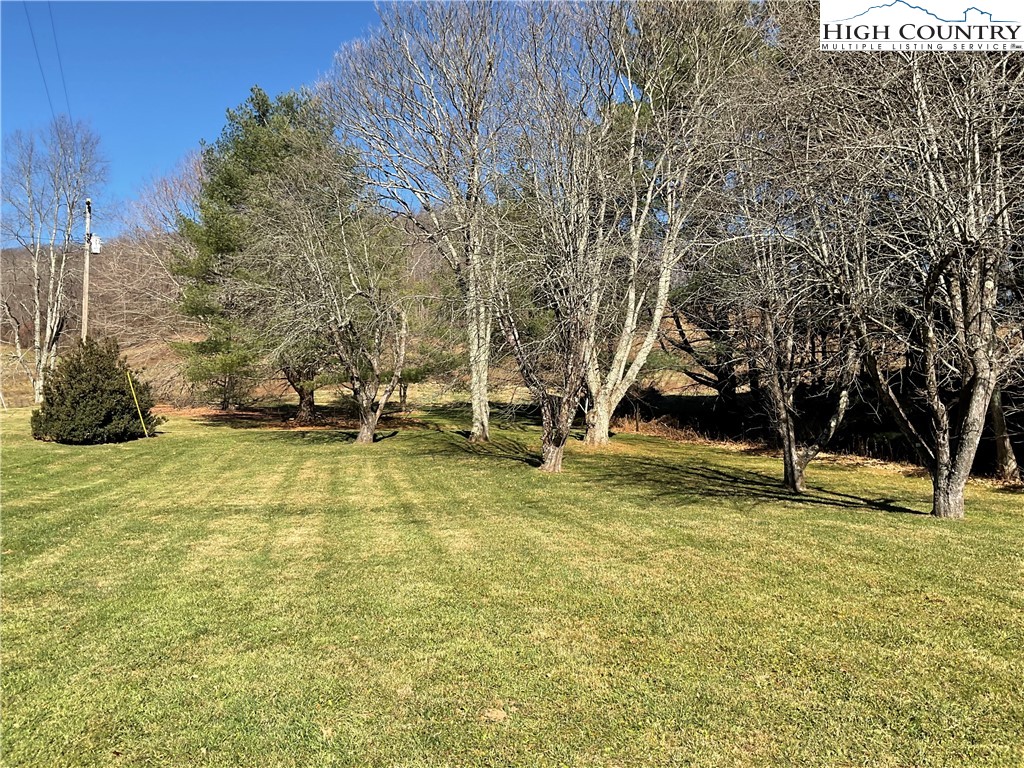 4560 Highway 18 Sparta, NC 28675 - Photo 7 of 43 a view of swimming pool with trees