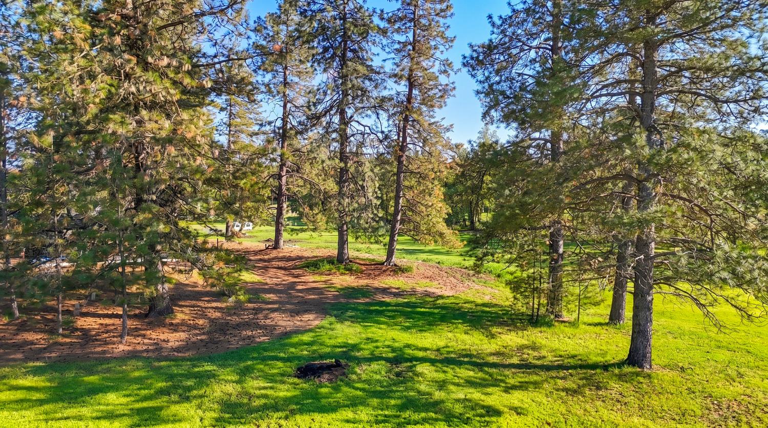 4360 Pleasant Valley Road Placerville, CA 95667 - Photo 13 of 71