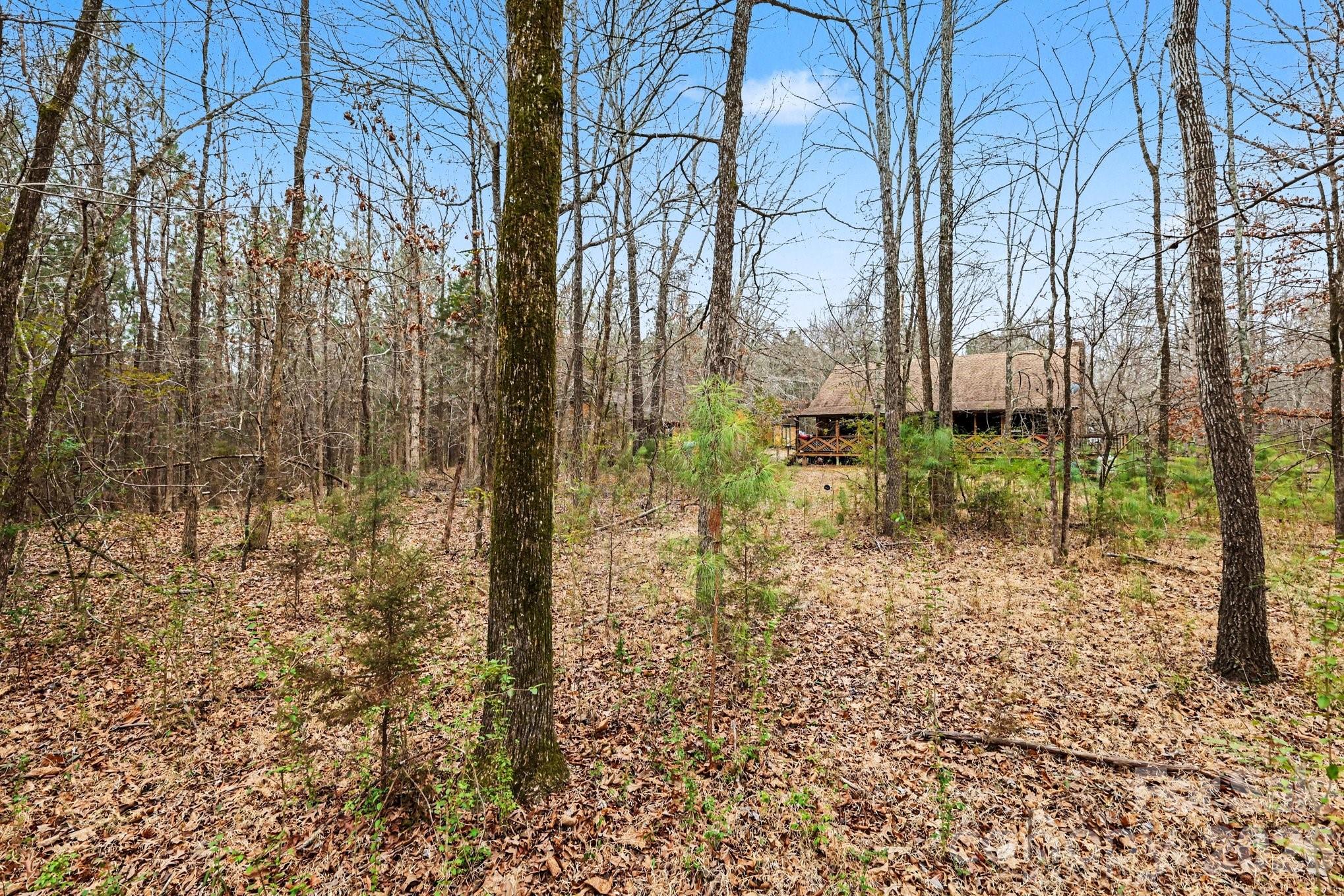 10217 Bethel Church Road Midland, NC 28107 - Photo 13 of 18 a backyard of a house with lots of green space
