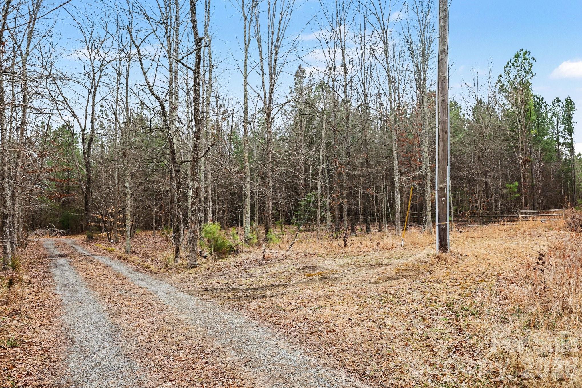 10217 Bethel Church Road Midland, NC 28107 - Photo 17 of 18 a view of a yard with a tree