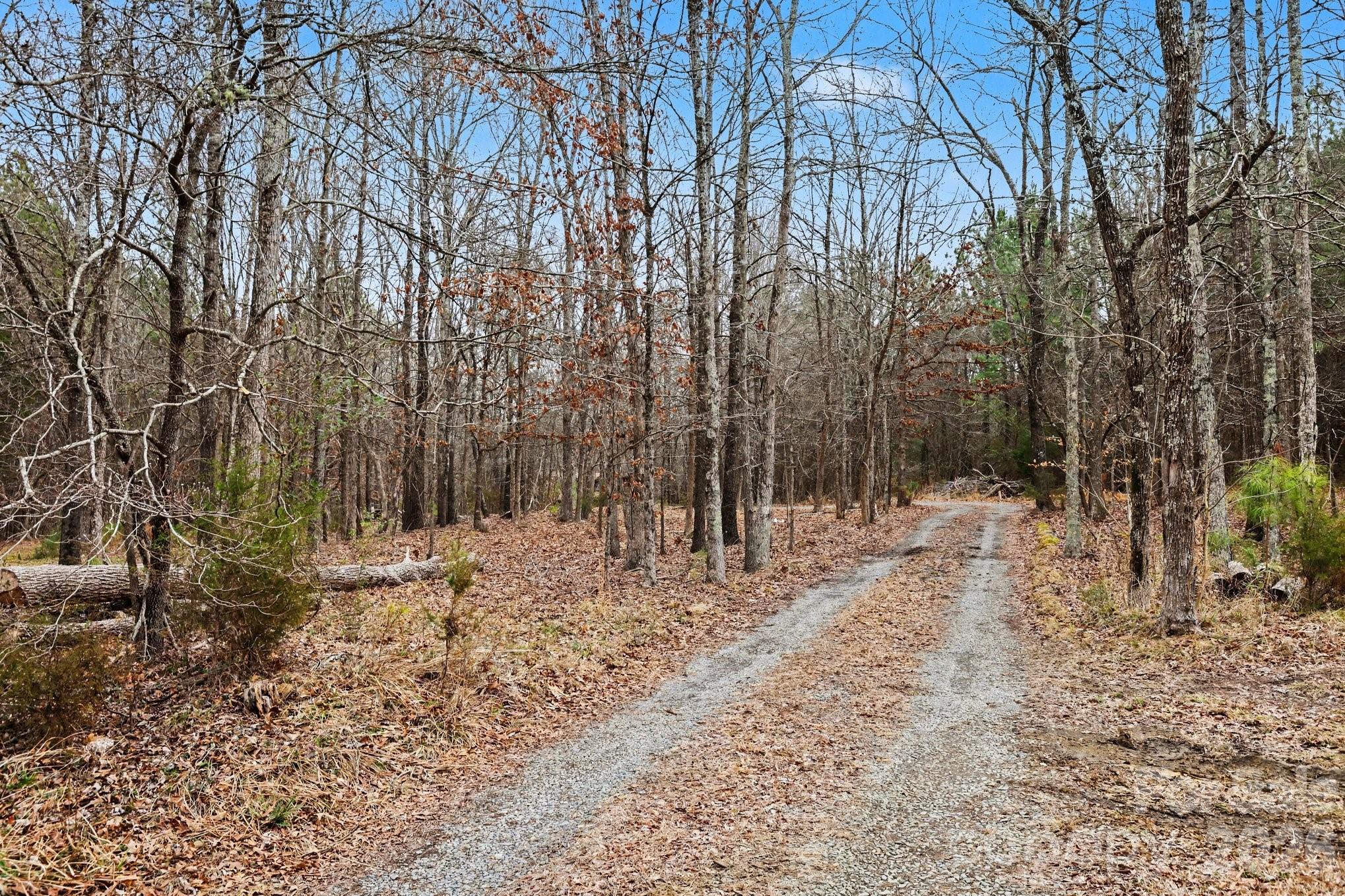 10217 Bethel Church Road Midland, NC 28107 - Photo 18 of 18 a view of a yard with trees