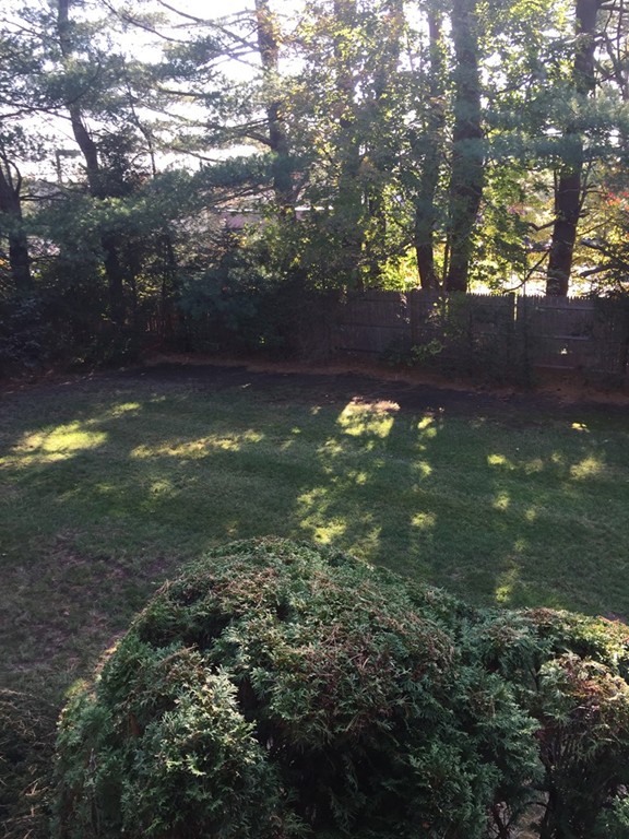 6 Edward Street Canton, MA 02021 - Photo 13 of 16 a view of a yard